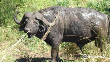 赫卢赫卢韦–印姆弗鲁兹公园