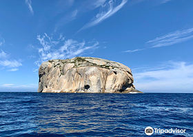 Wilsons Promontory Cruises
