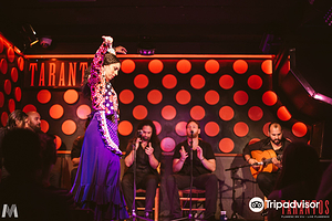 巴塞罗那Los Tarantos弗拉明戈表演