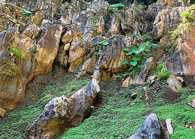 清心岭休闲文化村