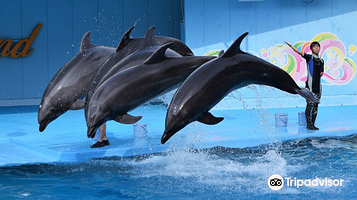 Minamichita Beach Land