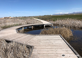 Great Salt Lake Shorelands Preserve