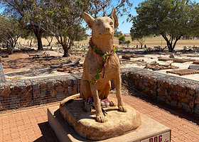 Corrigin Dog Cemetery