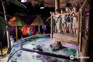 Sea Life Kansas City Aquarium