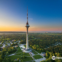 塔林电视塔