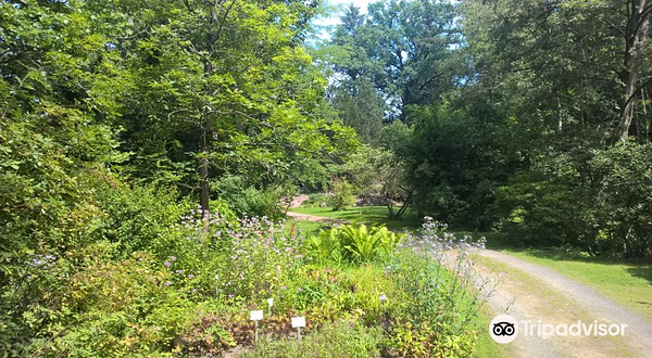 Forstbotanischer Garten