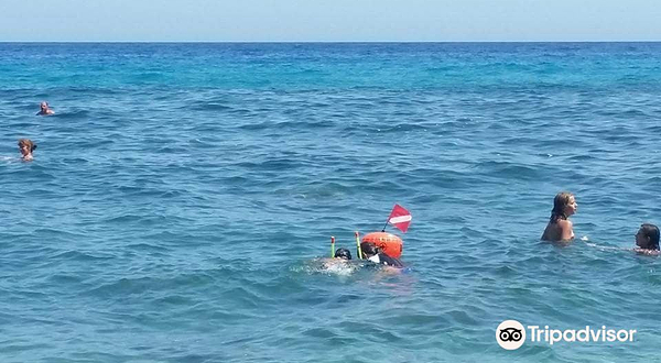 Acquario Cala Gonone