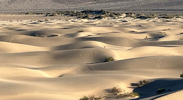 Mesquite Flat Sand Dunes