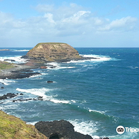 菲利普岛自然公园