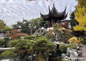 A Wok Around Chinatown