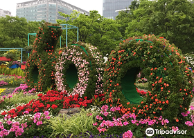 2025 高阳国际花卉博览会