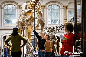 柏林自然博物馆