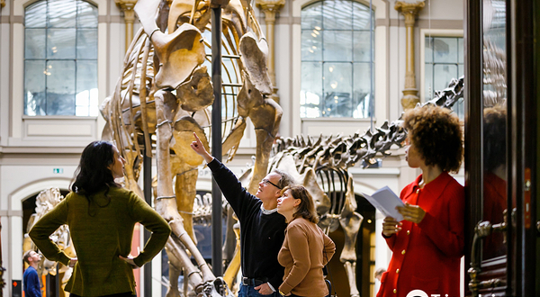 柏林自然博物馆