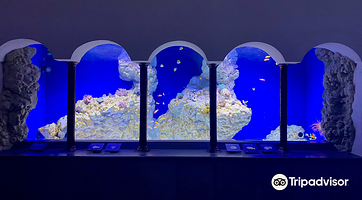 Aquarium of Naples