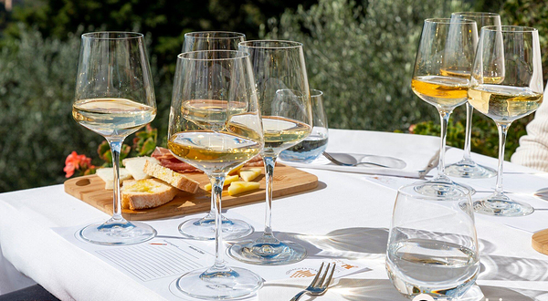 Vernaccia di San Gimignano Wine Experience - La Rocca