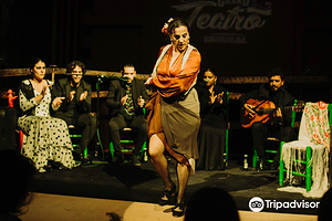 Granada 10 Teatro Musical