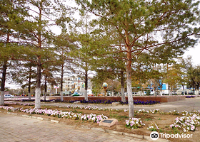 Alley of Pines Planted by Cosmonauts