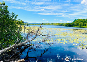 Muir of Dinnet National Nature Reserve