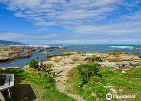Taputeranga Marine Reserve
