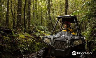 格雷茅斯四驱车探险之旅
