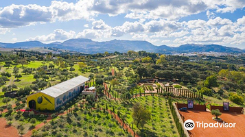 LA Organic Experience