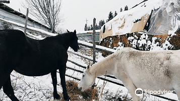 HORSE RIDING ON KARAKOL valley