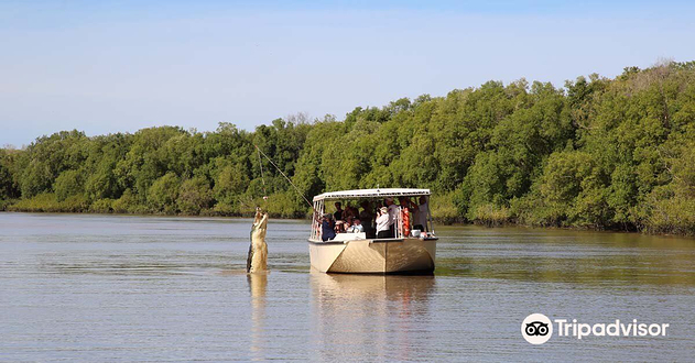 Spectacular Jumping Crocodile Cruise