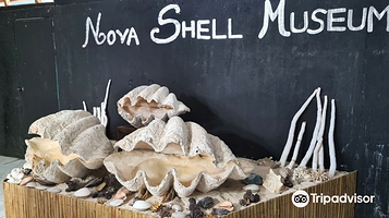 新星贝壳博物馆