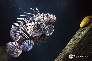 汉诺威海洋世界