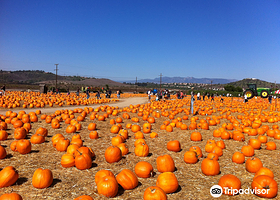 Underwood Family Farms