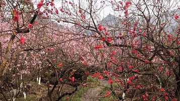 桃源生态旅游区