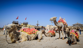 镇北堡西部影城