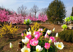 五阳湖生态旅游度假区