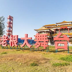 泰安刘老根大舞台