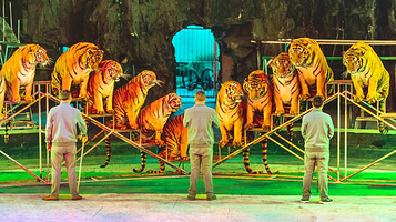 浦口珍珠泉野生动物生态园