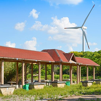 上海滨海森林公园