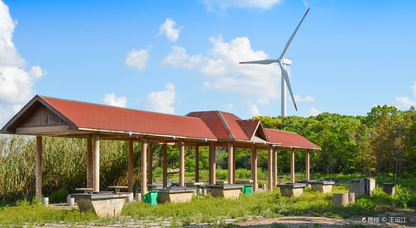 上海滨海森林公园