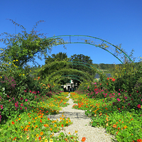 莫奈花园