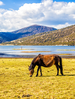 普达措国家公园