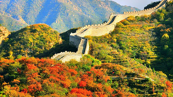 八达岭国家森林公园-红叶岭