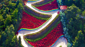 麓湖山文化产业园