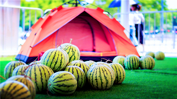 小蜜蜂农场(凯德七宝购物广场七莘路店)