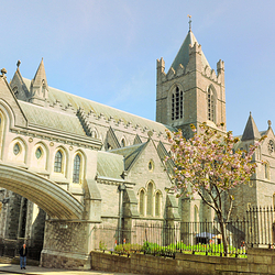 都柏林基督新教大教堂