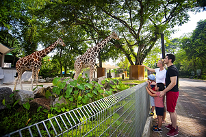 马来西亚国家动物园