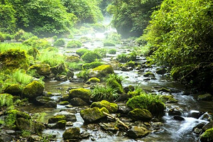 铁溪自然风景区