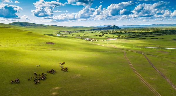 呼伦贝尔大草原