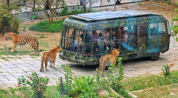 深圳野生动物园