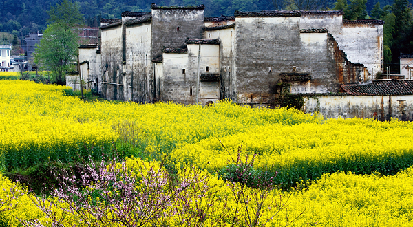 婺源风景区