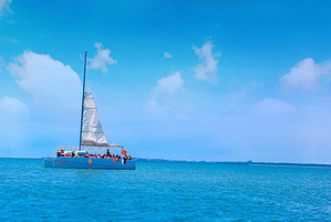 新澳帆船俱乐部