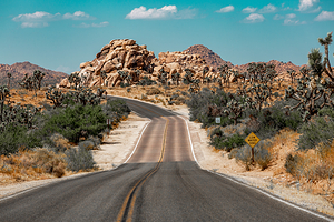 约书亚树国家公园